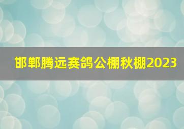 邯郸腾远赛鸽公棚秋棚2023