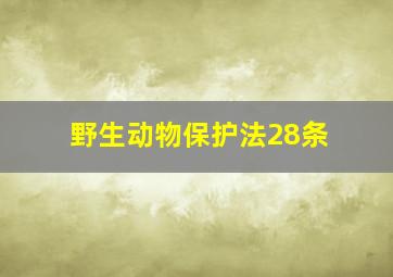 野生动物保护法28条