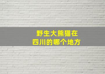 野生大熊猫在四川的哪个地方