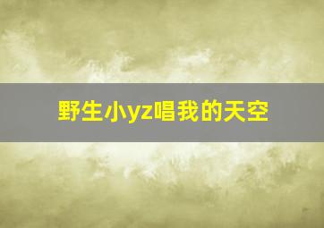 野生小yz唱我的天空