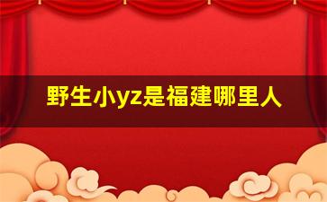 野生小yz是福建哪里人