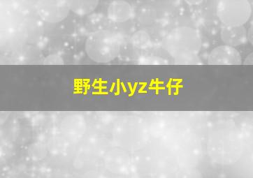 野生小yz牛仔