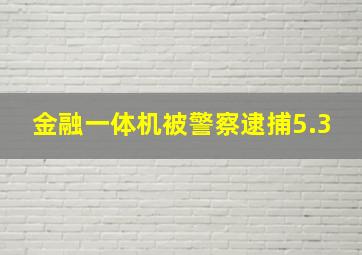 金融一体机被警察逮捕5.3