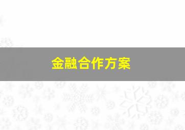 金融合作方案