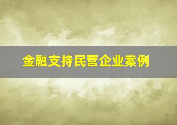 金融支持民营企业案例