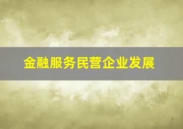 金融服务民营企业发展