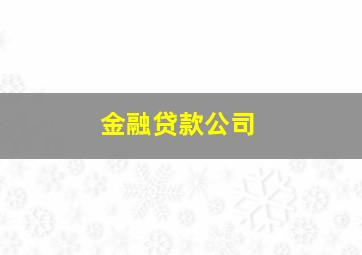 金融贷款公司