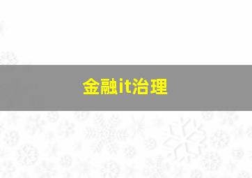 金融it治理