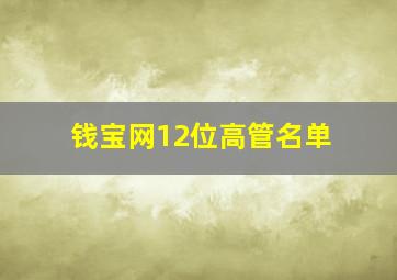 钱宝网12位高管名单