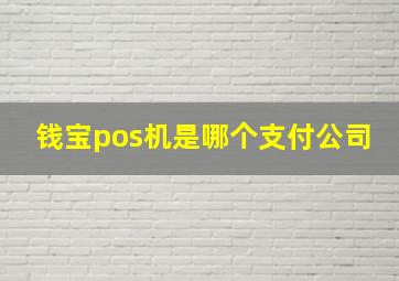 钱宝pos机是哪个支付公司