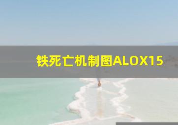 铁死亡机制图ALOX15