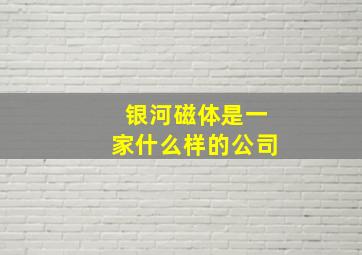 银河磁体是一家什么样的公司