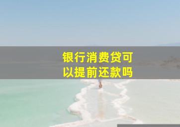 银行消费贷可以提前还款吗