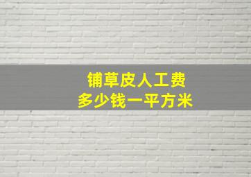 铺草皮人工费多少钱一平方米