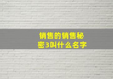 销售的销售秘密3叫什么名字