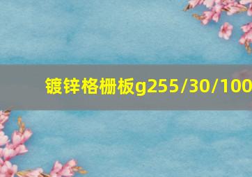 镀锌格栅板g255/30/100