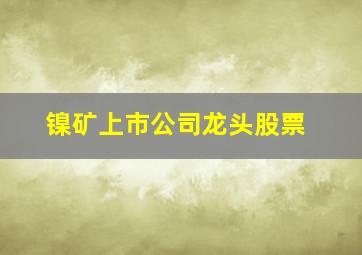 镍矿上市公司龙头股票