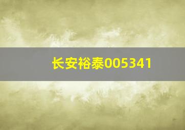 长安裕泰005341