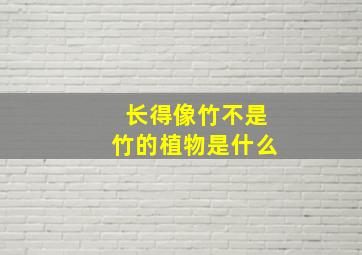 长得像竹不是竹的植物是什么