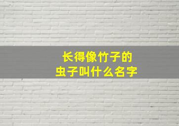 长得像竹子的虫子叫什么名字