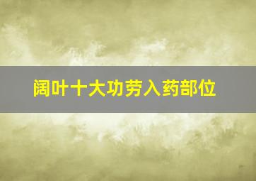 阔叶十大功劳入药部位