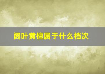 阔叶黄檀属于什么档次