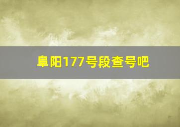 阜阳177号段查号吧