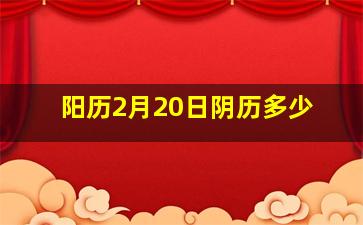 阳历2月20日阴历多少