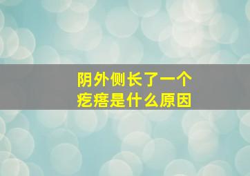 阴外侧长了一个疙瘩是什么原因