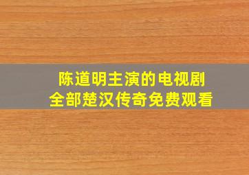 陈道明主演的电视剧全部楚汉传奇免费观看