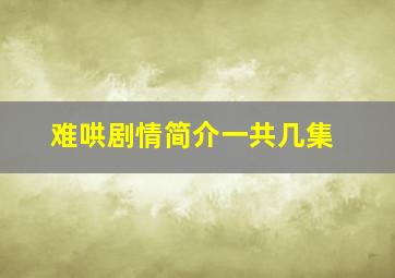 难哄剧情简介一共几集