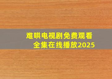 难哄电视剧免费观看全集在线播放2025