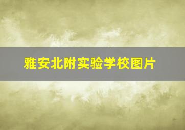 雅安北附实验学校图片