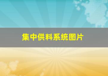 集中供料系统图片