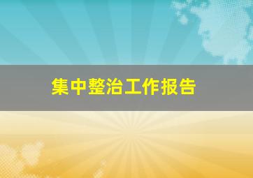 集中整治工作报告