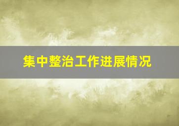 集中整治工作进展情况