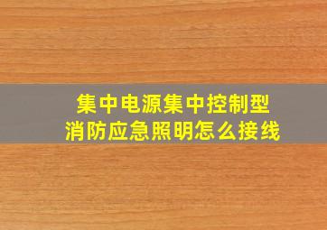 集中电源集中控制型消防应急照明怎么接线