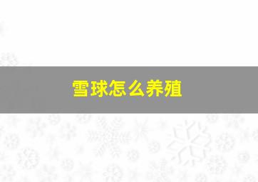 雪球怎么养殖