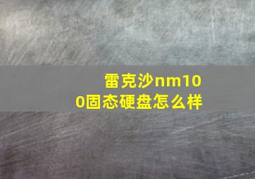 雷克沙nm100固态硬盘怎么样