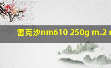 雷克沙nm610 250g m.2 nvme