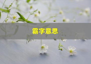 霸字意思