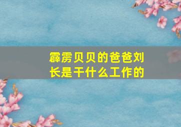 霹雳贝贝的爸爸刘长是干什么工作的