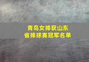 青岛女排获山东省排球赛冠军名单