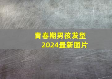 青春期男孩发型2024最新图片