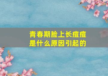 青春期脸上长痘痘是什么原因引起的