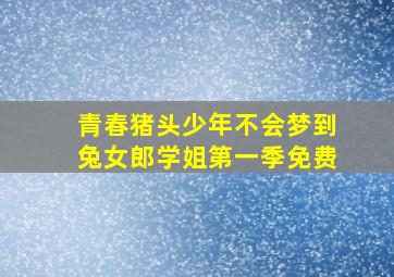 青春猪头少年不会梦到兔女郎学姐第一季免费