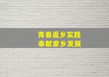 青春返乡实践 奉献家乡发展