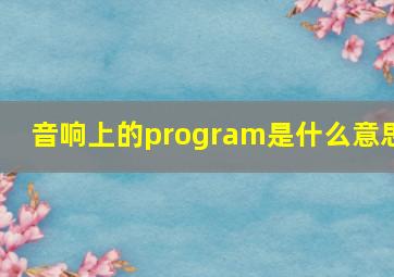 音响上的program是什么意思