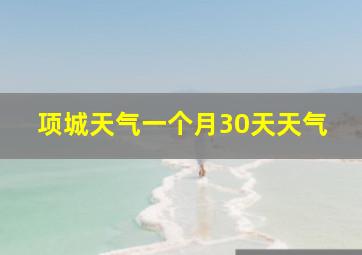 项城天气一个月30天天气