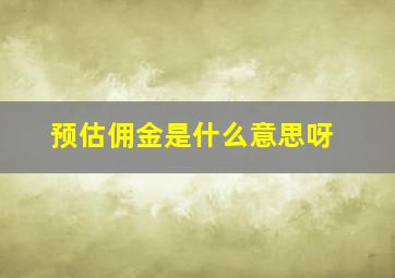 预估佣金是什么意思呀